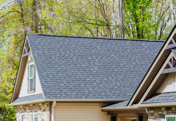 Best Roof Maintenance and Cleaning  in Heidelberg, TX